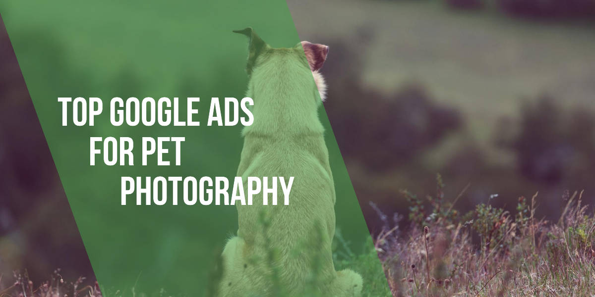 Top Google Ads for Pet Photography Marketing Resources for Photographers