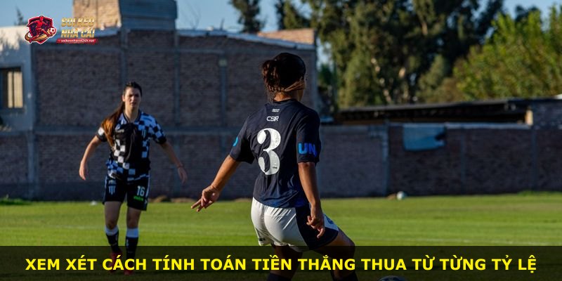 Xem xét cách tính toán tiền thắng thua từ từng tỷ lệ