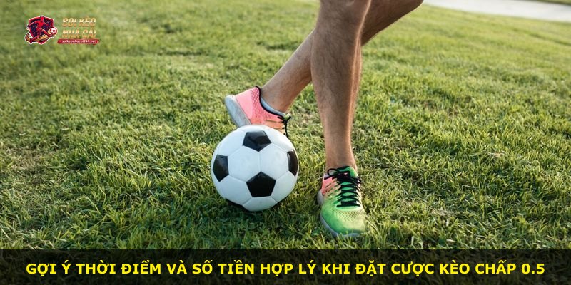 Gợi ý thời điểm và số tiền hợp lý khi đặt cược kèo chấp 0.5