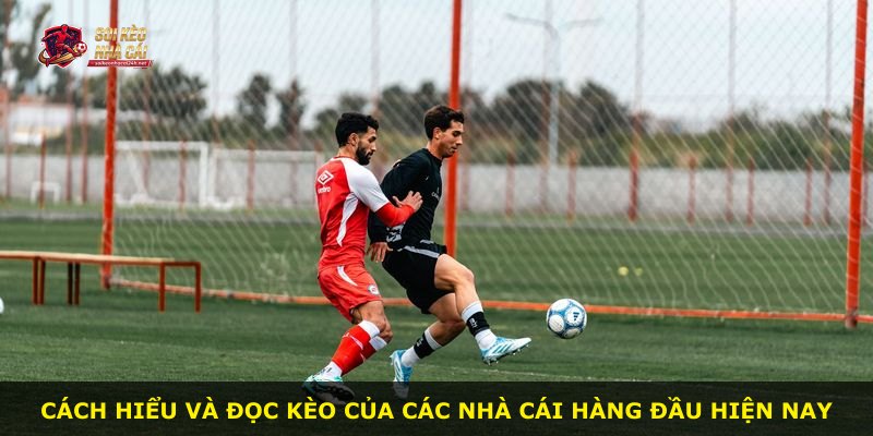 Cách hiểu và đọc kèo của các nhà cái hàng đầu hiện nay