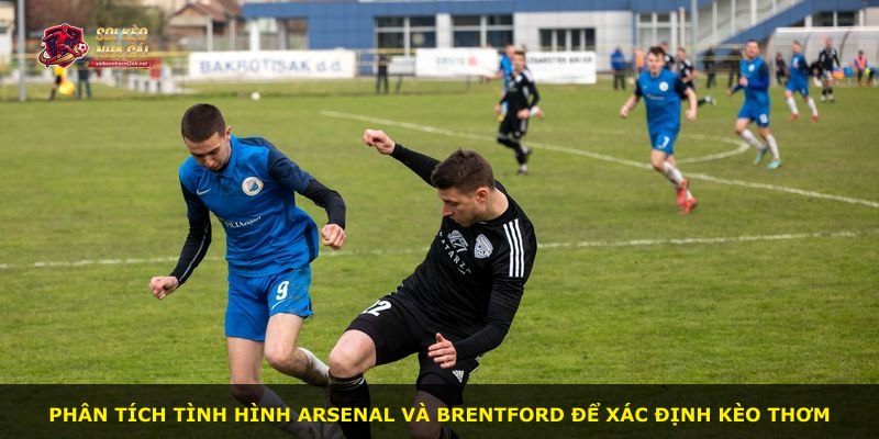 Phân tích tình hình Arsenal và Brentford để xác định Kèo Thơm
