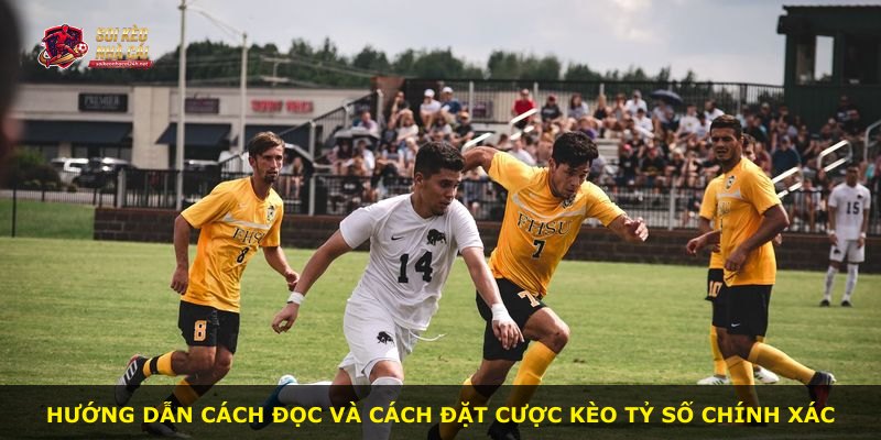 Hướng dẫn cách đọc và cách đặt cược kèo tỷ số chính xác