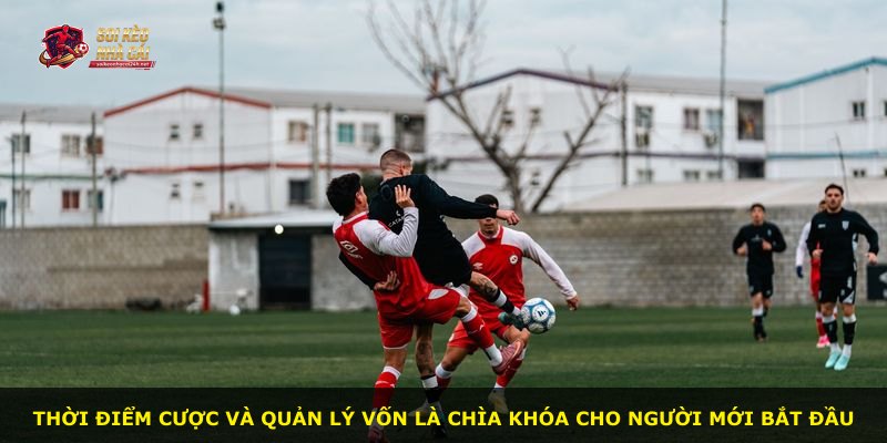 Thời điểm cược và quản lý vốn là chìa khóa cho người mới bắt đầu